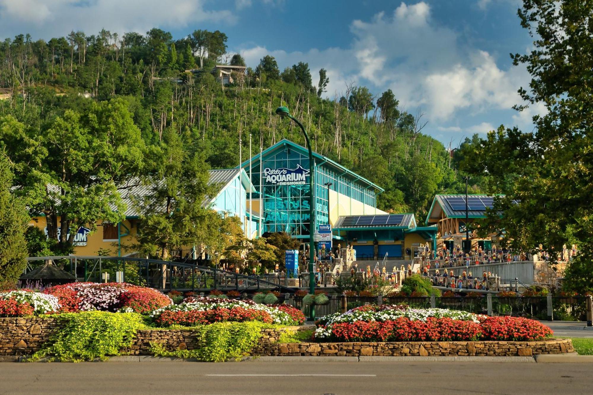 Walk To Anakeesta Romantic 1Br W Fireplace Gatlinburg Bagian luar foto